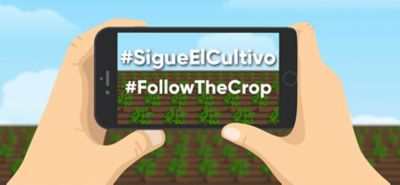 #SigueElcultivo