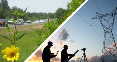 one image of a flower along a roadside, one image with technicians under a ROW, and one image of two people talking in a ROW