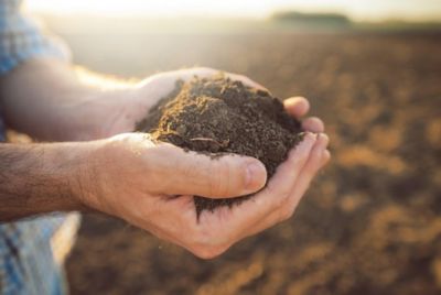 Man's hands holding soil