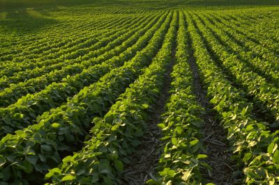 The Importance of Soil Health | The Farming Forum