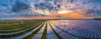 solar panels in field