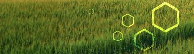 Découvrez notre gamme de biostimulants