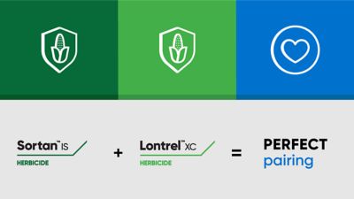 sortan and lontrel XC, the perfect pairing