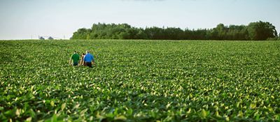 Enlist E3® Soybeans: Hear From the Field