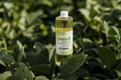 The Reinvention of Soybean Oil