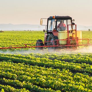 Sprayer in soybean field