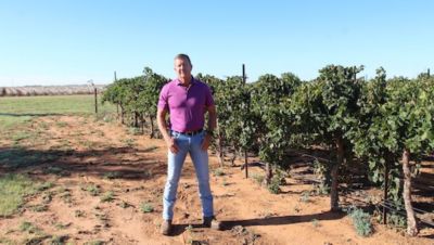 cotton farmer Steve Newsom