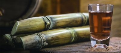 pieces of sugar cane and a glass of caramel colored liquid on a table