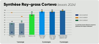 Synthèse Ray-grass Corteva