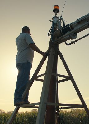 Man looking over crop field