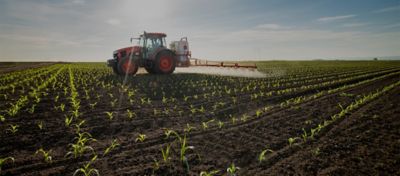 Aumento de la fertilidad del suelo 