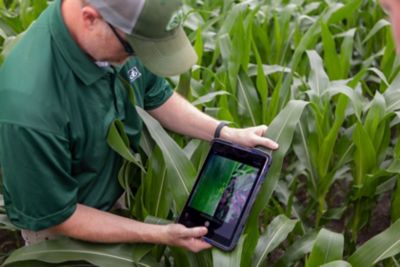 Photo - man reviewing tablet in cornfield - mid season