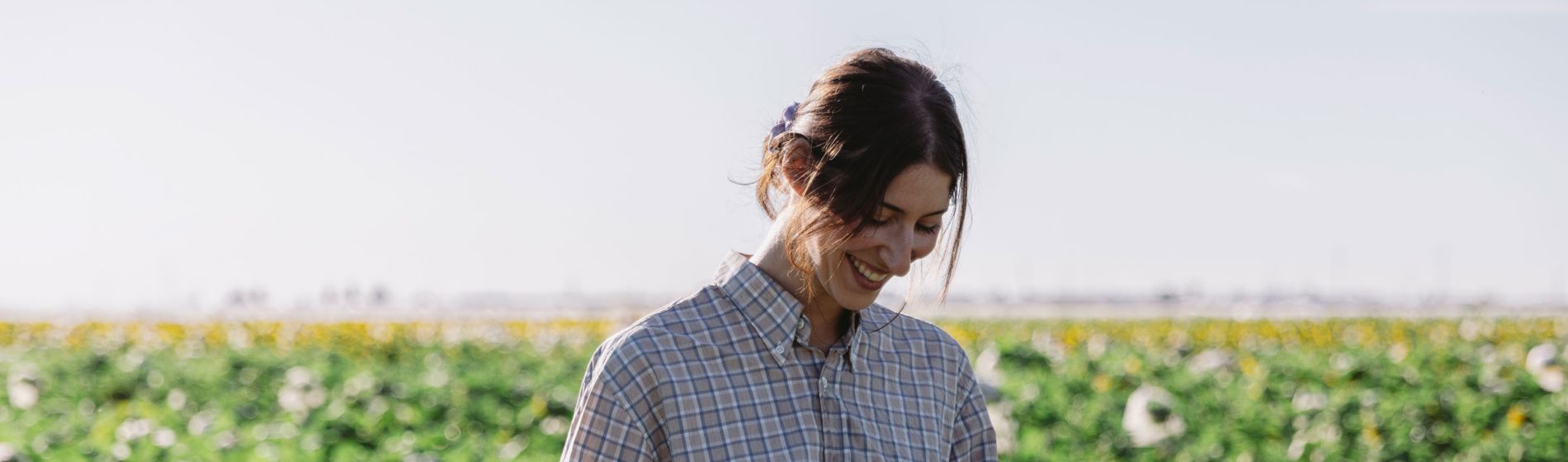 TalentA imagen principal 2024