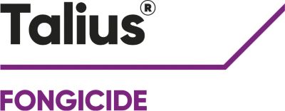 Brand_Logo