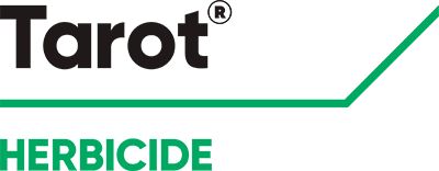 Brand_Logo