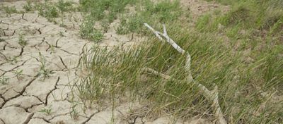 cracked dry pasture in Texas
