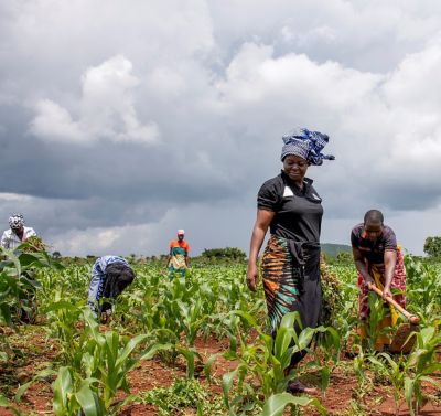 Helping our SoilSistas Flourish