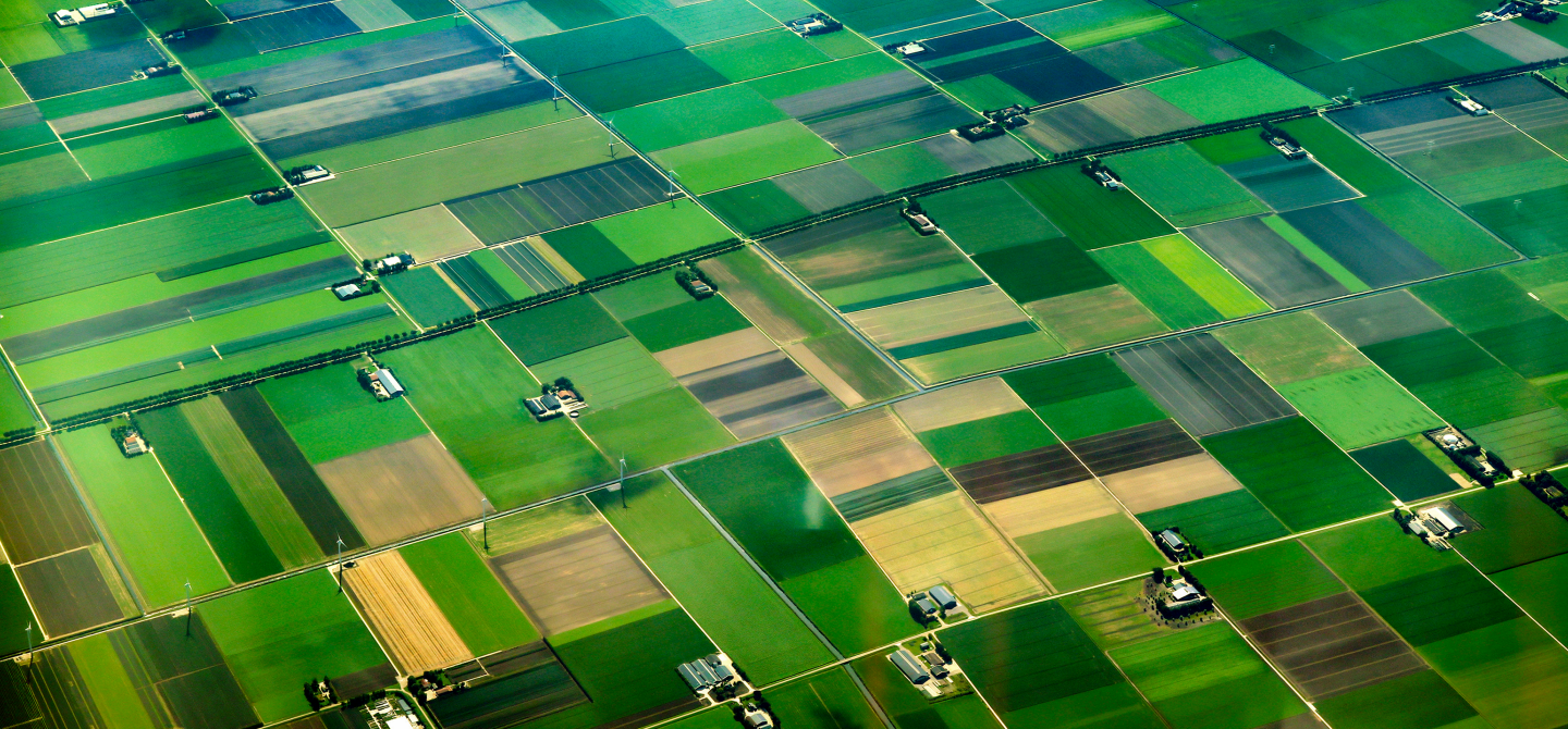 Aerial view of green farm ground
