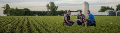 Three men crouch in a crop field and talk to each other with trees and farm buildings in the background.