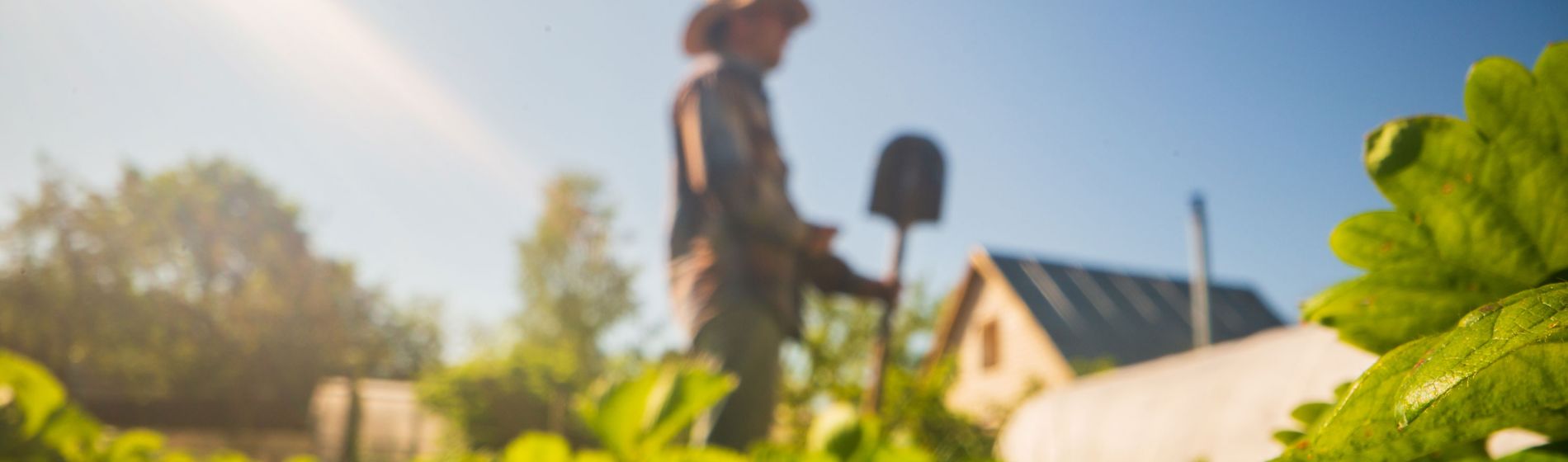 ¿Tiene la IA hueco en el sector agroalimentario?