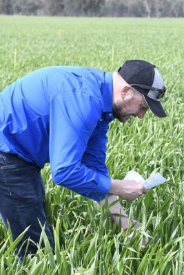 Corteva Integrated Field Science Lead, Tom Loveless looking at the impressive results from Telbek® with Adavelt® Active fungicide last season.