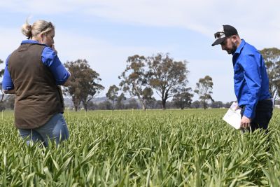 Tom Loveless & a researcher looking at the impressive results from Telbek® with Adavelt® Active fungicide last season.