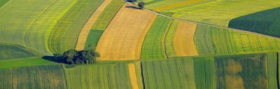 Parcelles de cultures en campagne