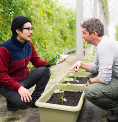 Men analyze plants with tablet