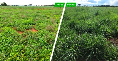 Antes e depois