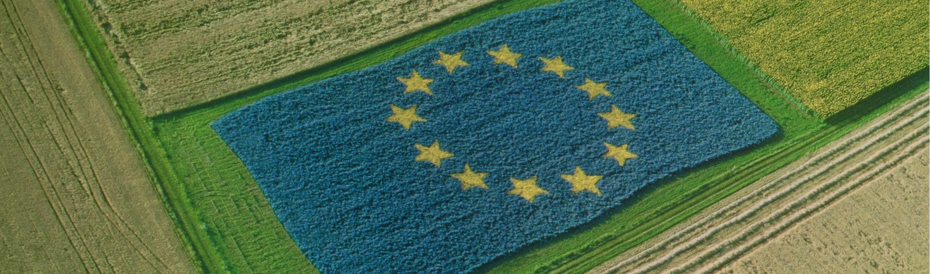 Una PAC orientada a impulsar la sostenibilidad y la digitalización