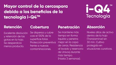 Univoq Registro Excepcional Remolacha