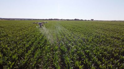 Uno de los drones haciendo una demostración sobre el cultivo