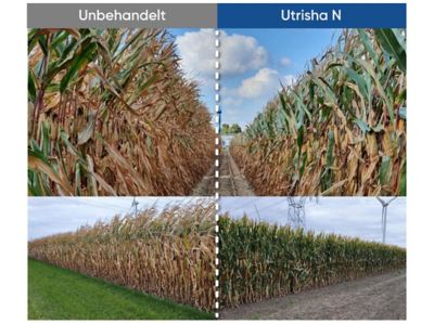 UtrishaN_DE_2026_corn_1080x1920