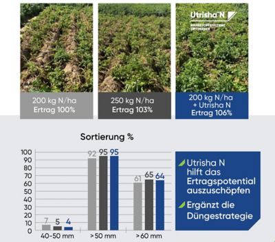 UtrishaN_DE_2026_potato_1080x1920