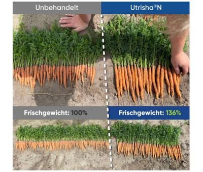 UtrishaN_DE_2026_veggies_1080x1920