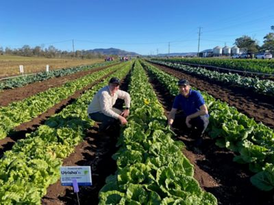 Utrisha N Trial, Gatton