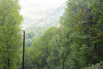 VM GA Utility lines through trees