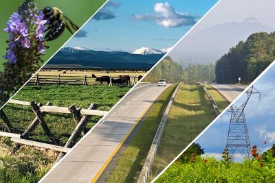 Vistas form hero - 3 industry image