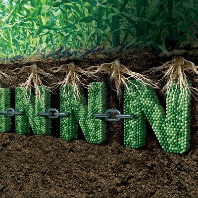 IMG-WWW_3000 X 3000_N LOCK-Corteva-EU-BG-V1