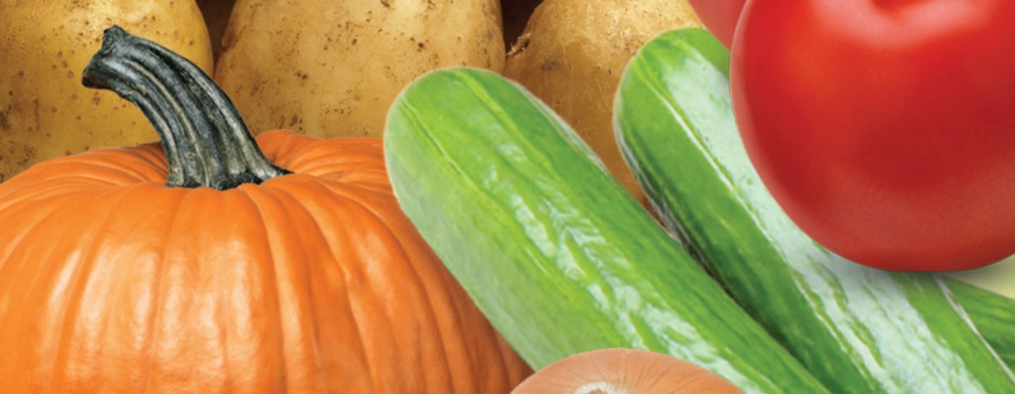 IMG-WWW_3000X3000_NEW Curzate-Coretva-EU-BG