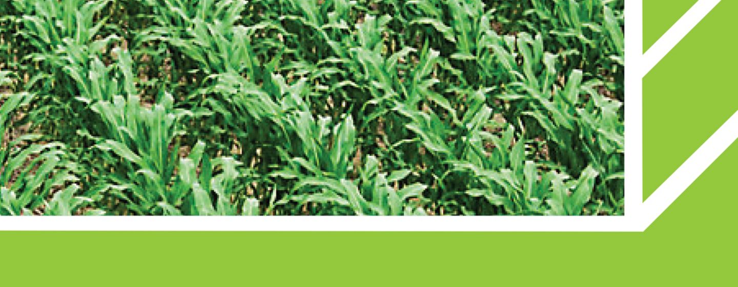 IMG-WWW_3000X3000_NEW_Utrisha-Corteva-EU-BG-V1