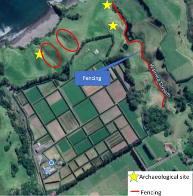 Wider Waireka site showing areas of archaeological significance and recently fenced areas.