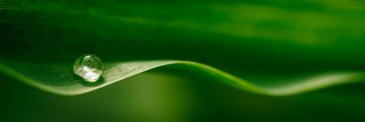 IMG-Web_Hero_Carousel-Water Droplet-AP-JP.jpg