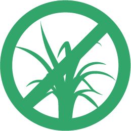 No new activity icon