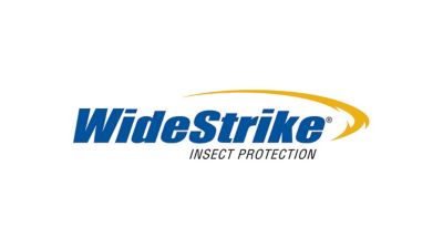 WideStrike resized padded logo