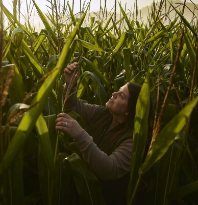 Woman Checking Corn