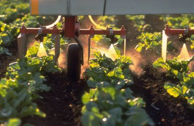 Flexible Application & Compatibility