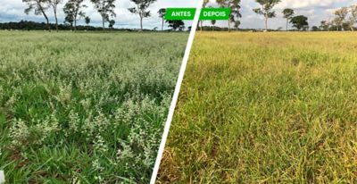 Antes e depois