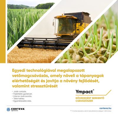 IMG-Ympact_borito_3000x3000