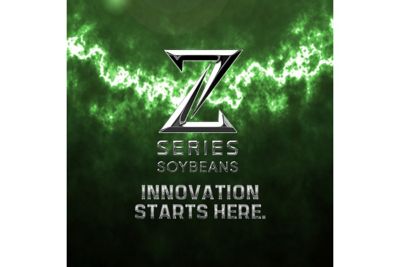 Z-Series Soybeans